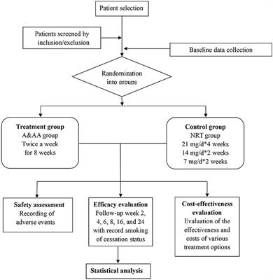 Efficacy and safety of acupuncture combined with auricular acupressure for smoking cessation: A study protocol of a multicentre, randomized, controlled clinical trial